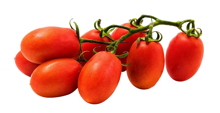 Une grappe de tomates fraîches